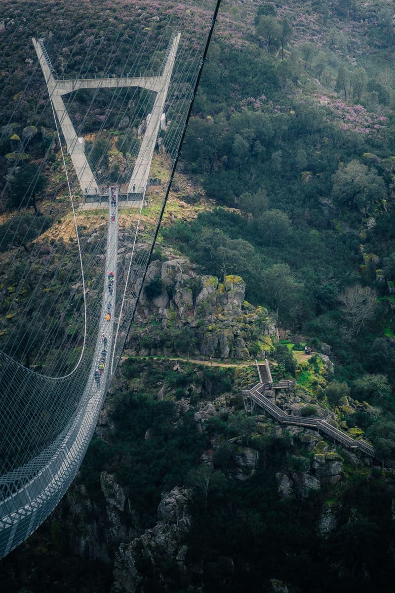 Preview of uploaded image