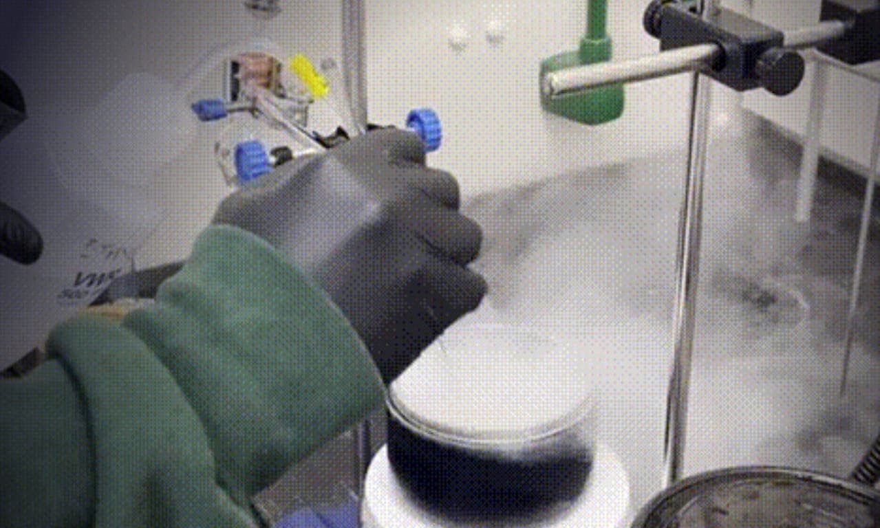 Cooking something in the lab